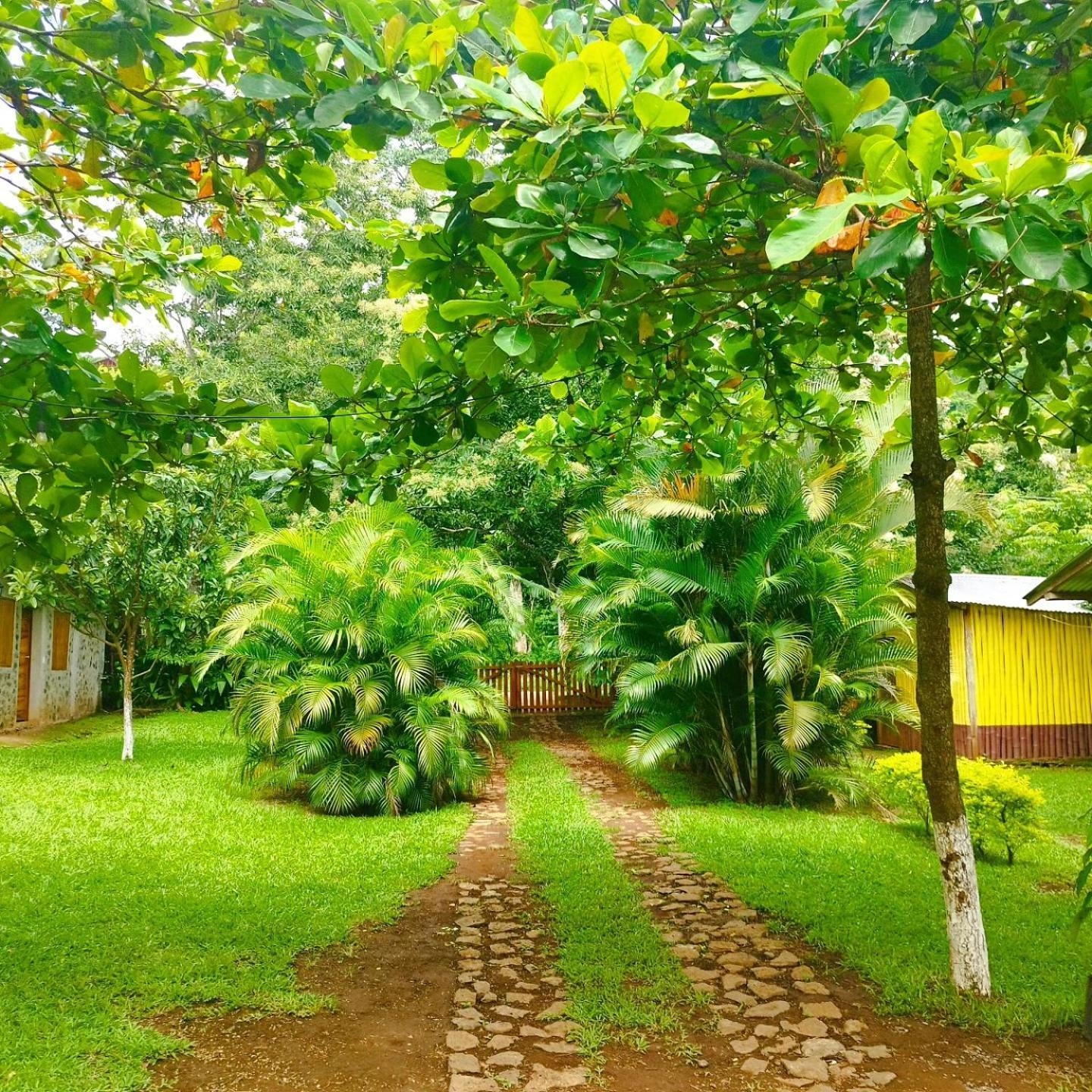 Cabanas Ixaya Catemaco Exterior photo
